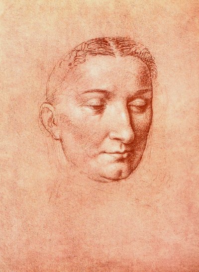 Study for the Head of a Saint by Leonardo da Vinci